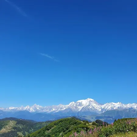 La Duchère Le Plan-la Giettaz Massif Des Aravis Appartement