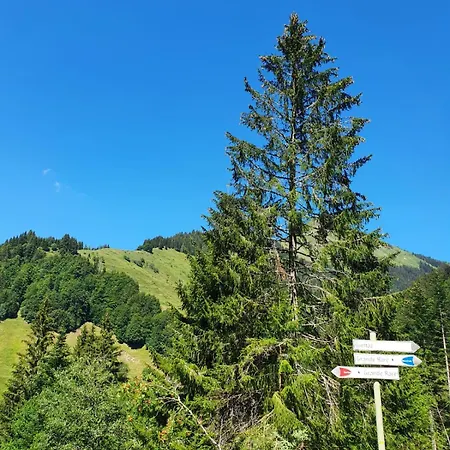 Appartement La Duchère Le Plan-la Giettaz Massif Des Aravis