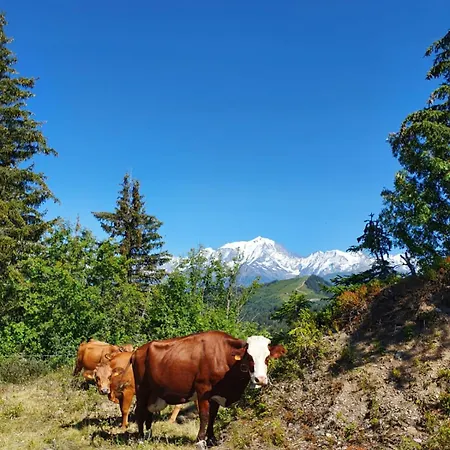 La Duchere Le Plan-la Giettaz Massif Des Aravis * La Giettaz